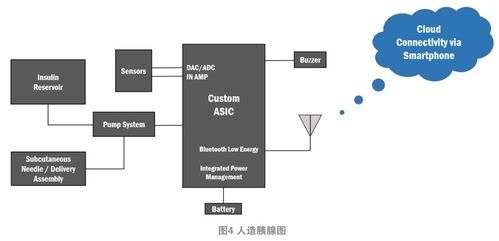 集成且不显眼的糖尿病管理系统 信息系统集成服务的创新实践